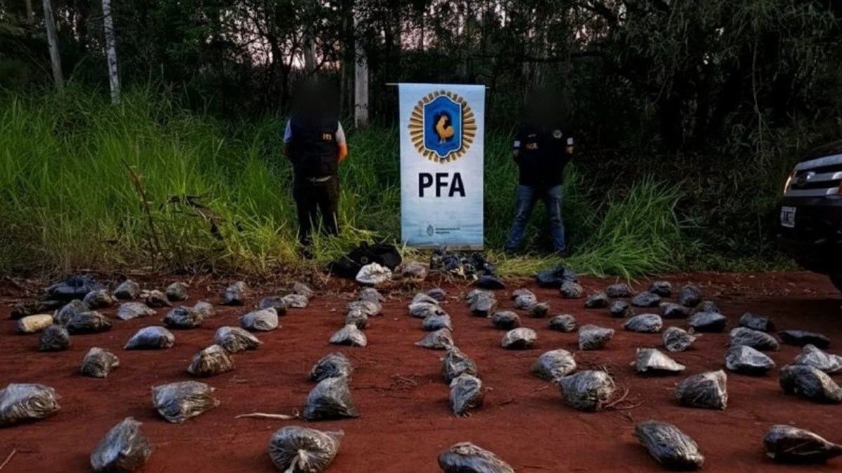 Droga por 300 millones de pesos: La PFA secuestró un cargamento de 71 kilos en Misiones