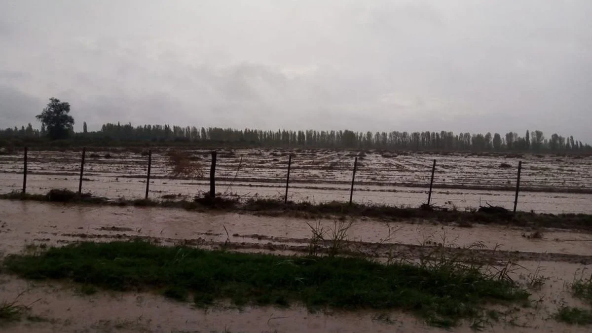 Solidaridad tras la tormenta: se pusieron en marcha dos colectas para ayudar a los damnificados