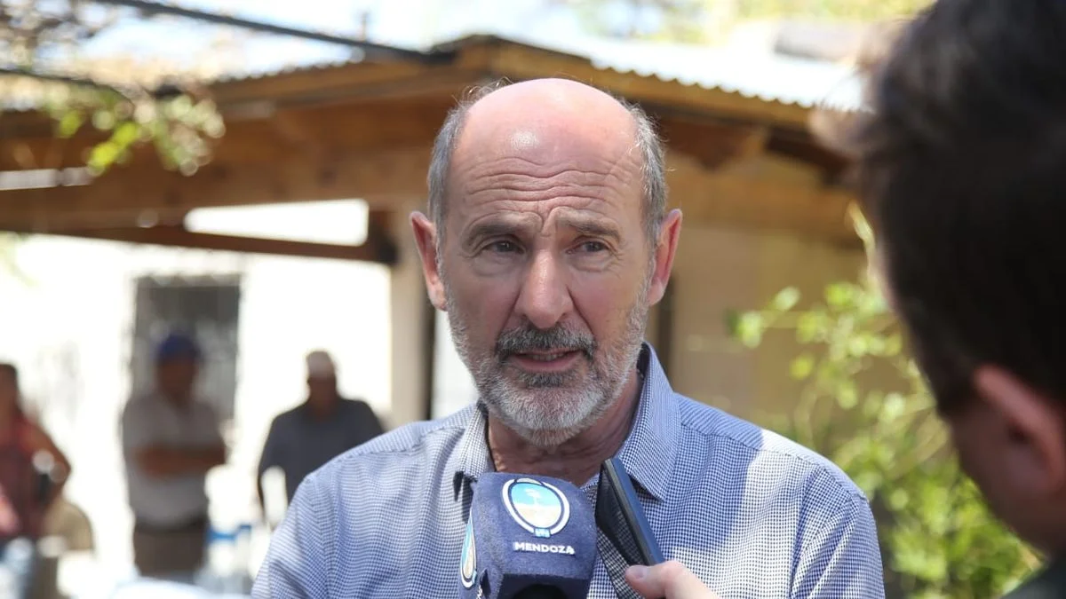 Mendoza: el plan B de Rodolfo Vargas Arizu para calmar a los productores que perdieron todo por la piedra