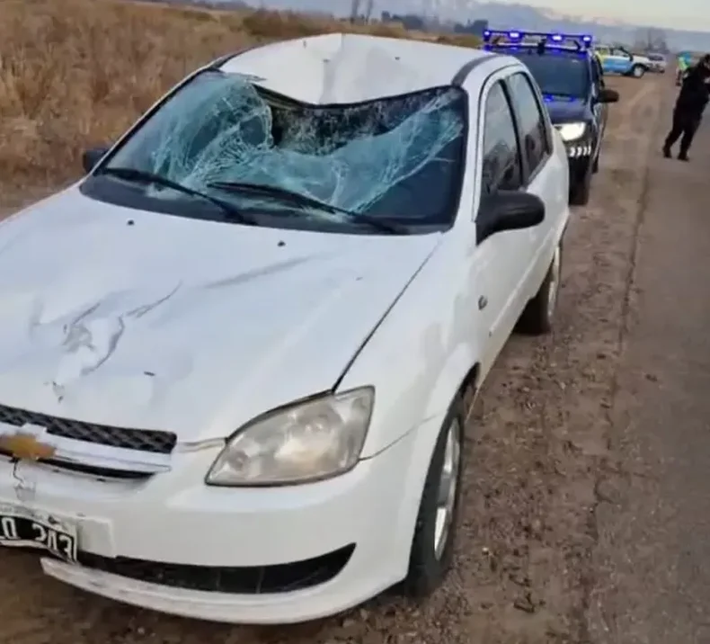 Así quedó el auto que atropelló a la mujer y su hija.