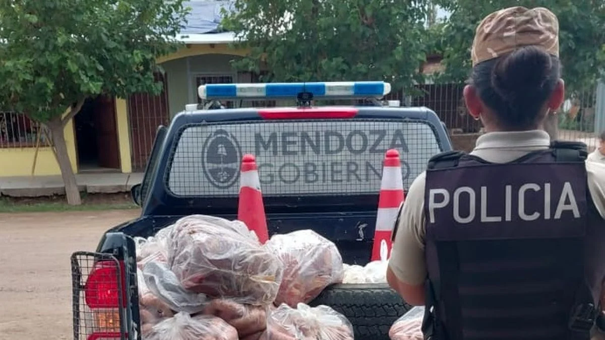 Decomisan más de 200 kilos de carne en un comercio de San Martín: no cumplían las condiciones sanitarias