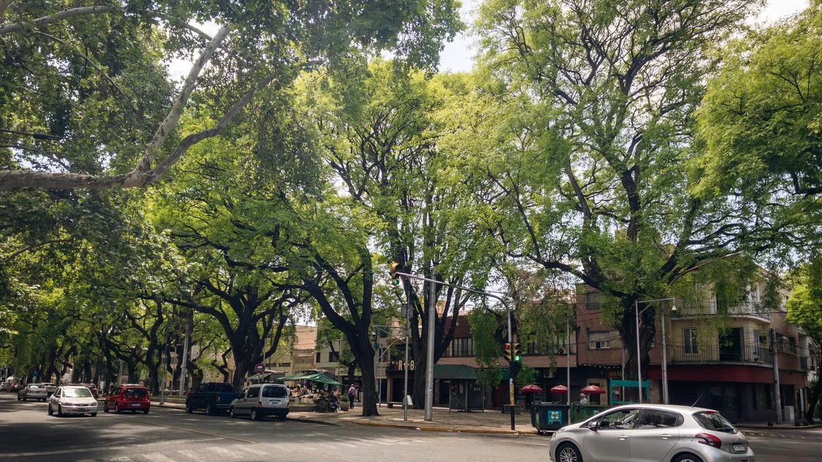 El tiempo en Mendoza: nubosidad variable con probabilidad de tormentas desde la tarde