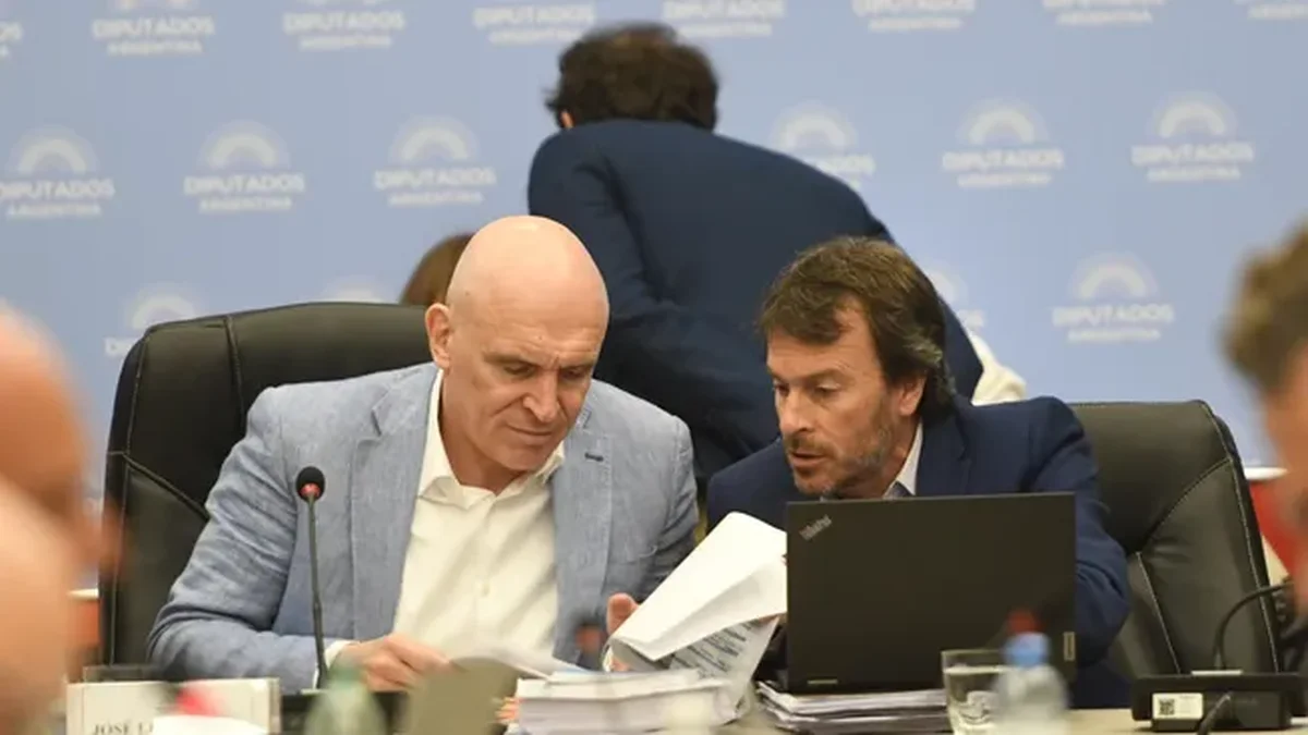 Espert bajo fuego por el vínculo narco, Nieri agazapado: la UCR hizo silencio ante el pedido de expulsión