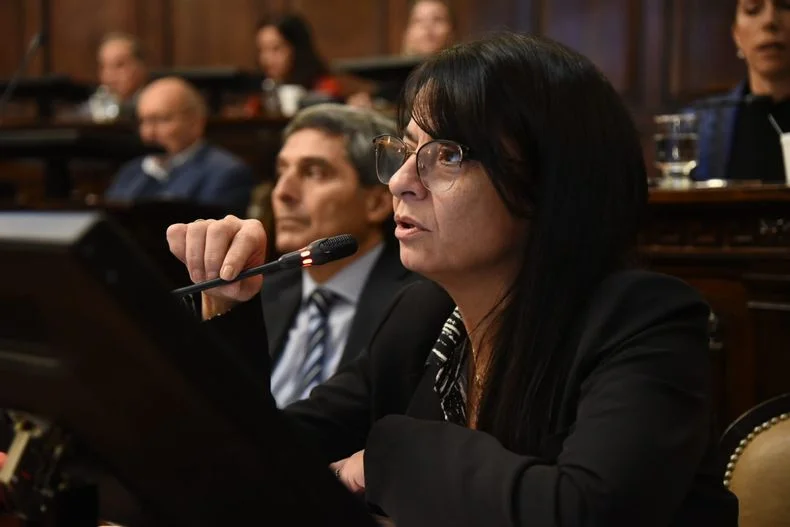 La senadora Ángela Floridia, titular de la Junta Electoral de la UCR y apoderada de la alianza con los libertarios, explicó el proyecto. 