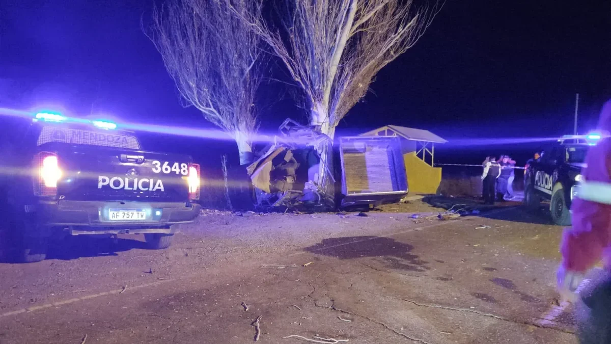 Los identificaron: son dos jóvenes los fallecidos por el choque de una camioneta contra un árbol en Lavalle