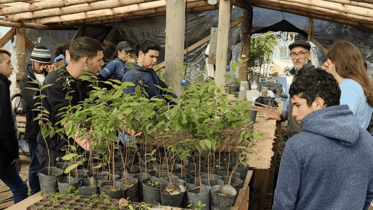 Diputados analiza un programa de compromiso ambiental en escuelas de Mendoza