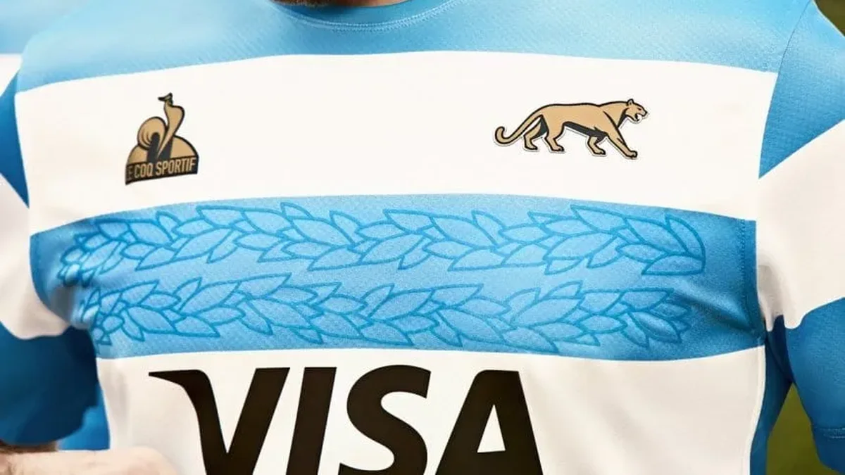 Quién es el histórico ex jugador de Los Pumas que fue denunciado por tentativa de femicidio