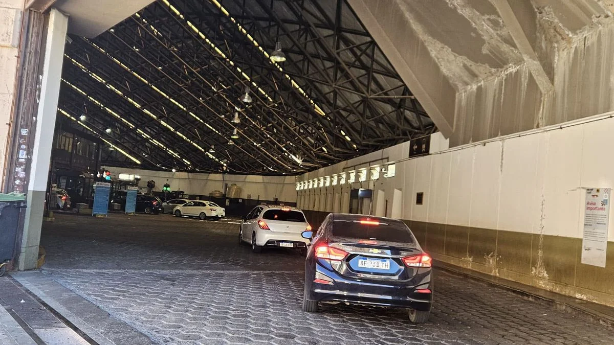 Por Carnaval, en un día cruzaron más de 8.000 mendocinos que viajaron en auto a Chile