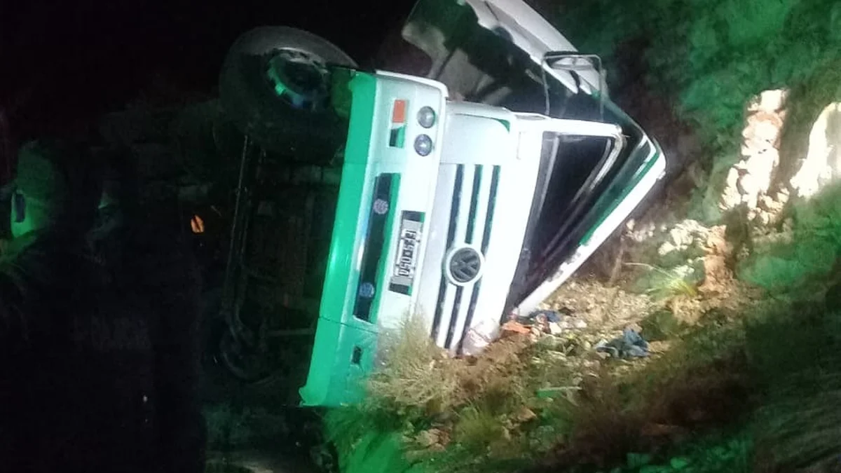 Un camión volcó en la Cuesta de los Terneros y varios animales murieron