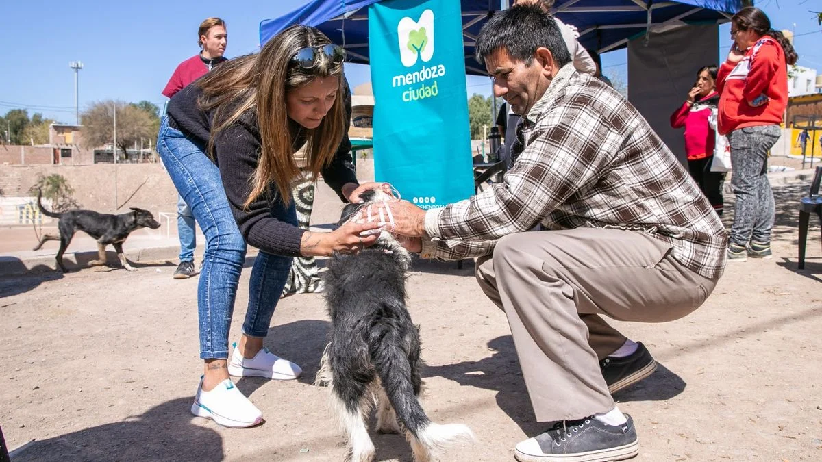 Ciudad: en el barrio La Favorita habrá vacunas antirrábicas y desparasitación gratuita