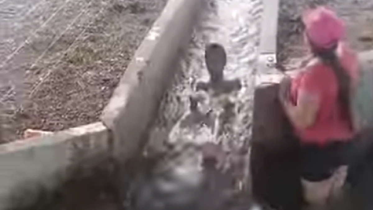 El peligroso video de niños bañándose en un cauce de agua que se viralizó en Mendoza
