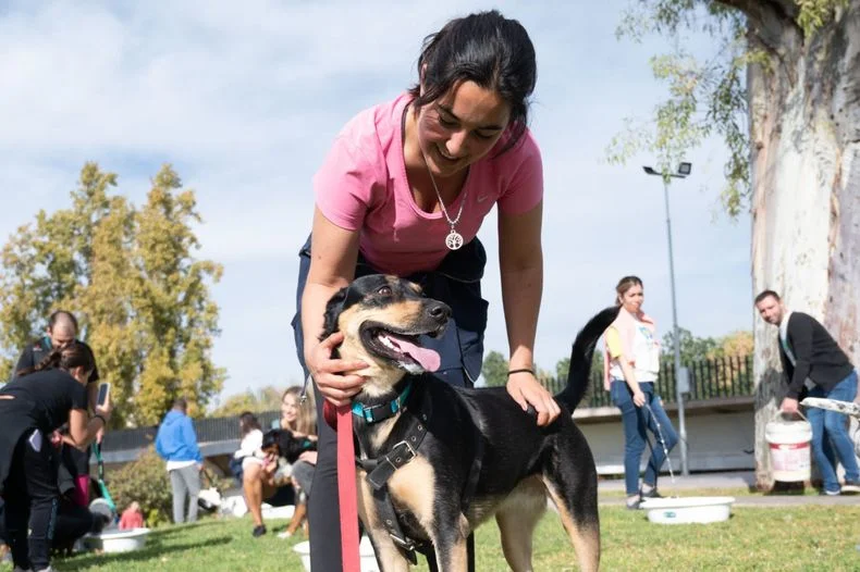 En el barrio La Favorita de Ciudad habrá servicios veterinarios disponibles. 