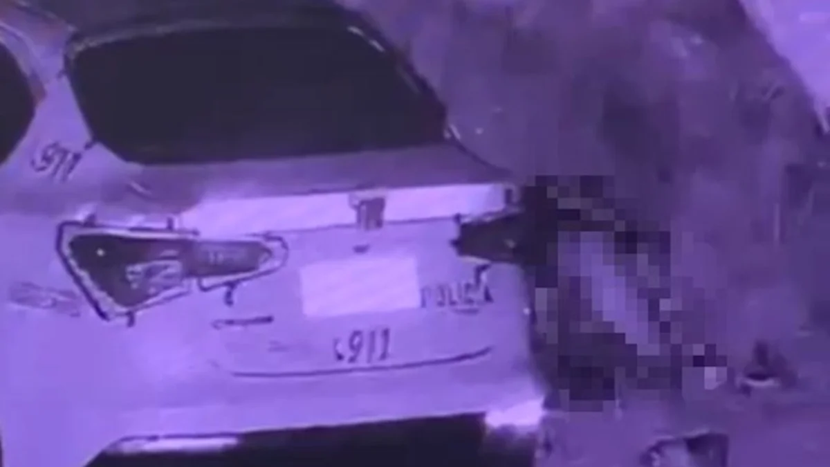 Tuvo sexo al lado del patrullero: un policía mantuvo relaciones sexuales con una civil dentro de un cementerio
