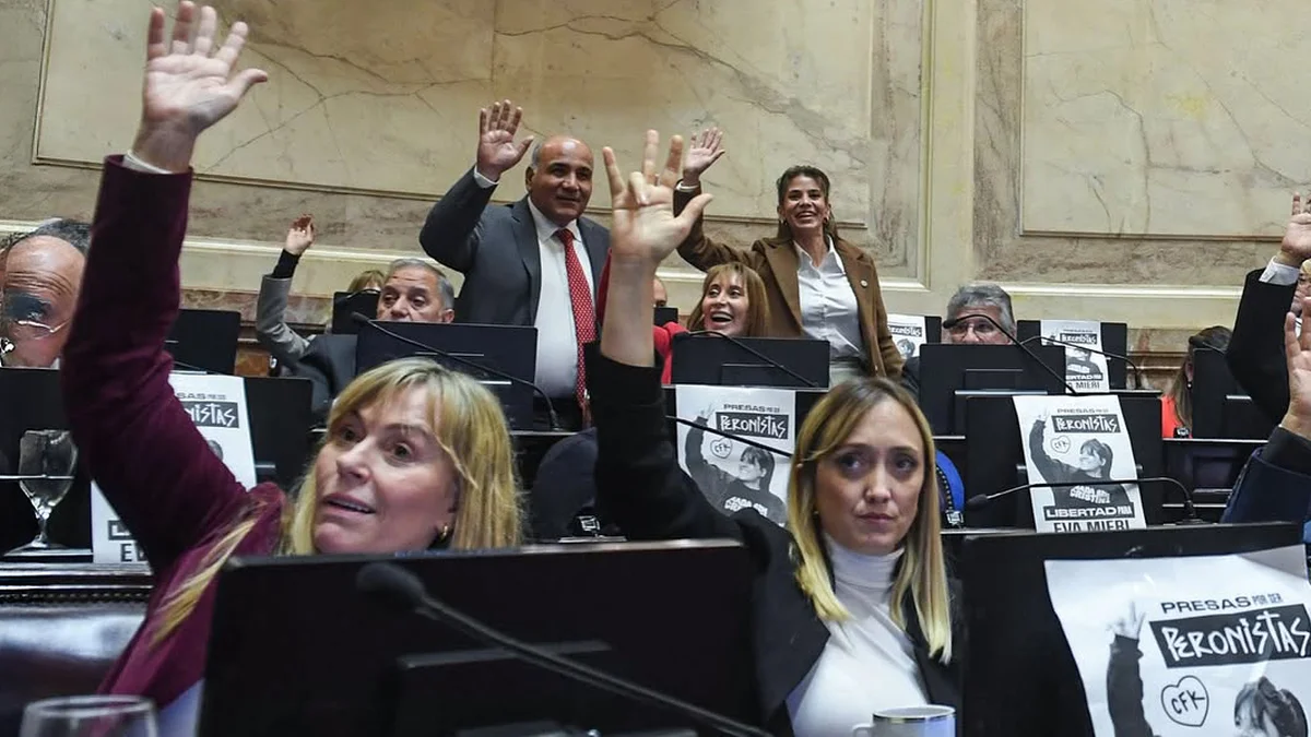 La oposición presiona para sesionar la emergencia en discapacidad y varios DNU de Javier Milei