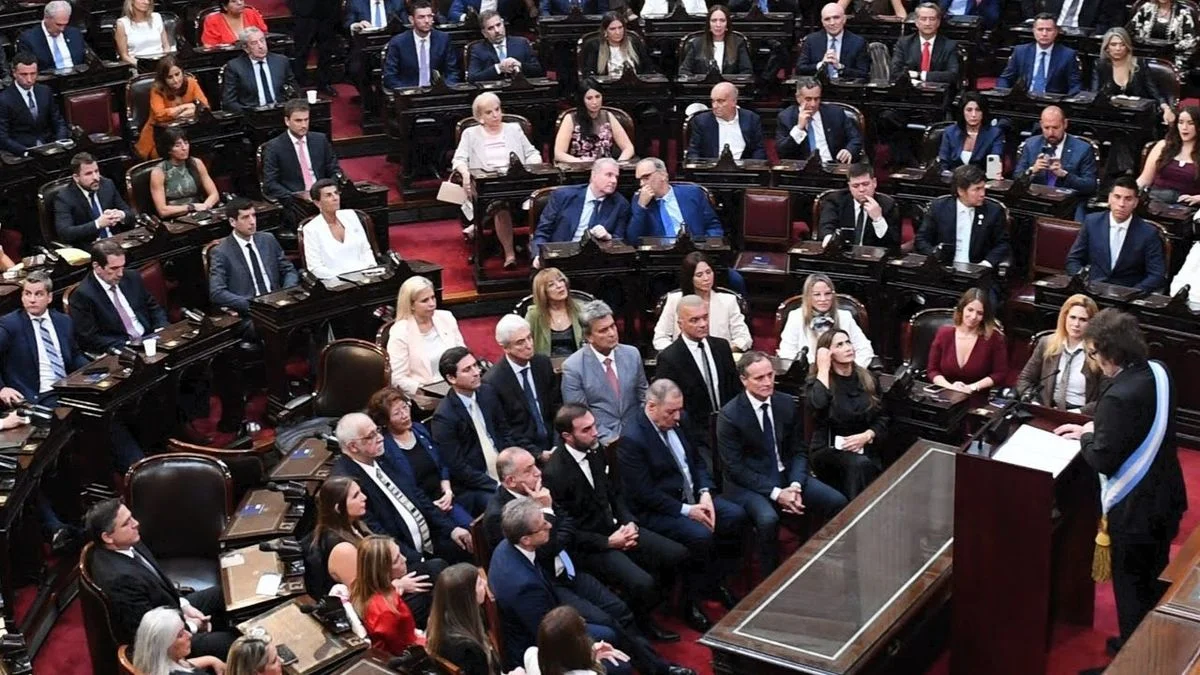 "Funcionan como una secta": los libertarios en el ojo de la tormenta por el ataque a Facundo Manes
