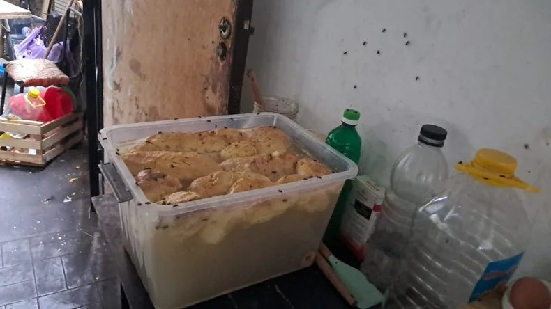 Recipientes con comida en descomposici&oacute;n.