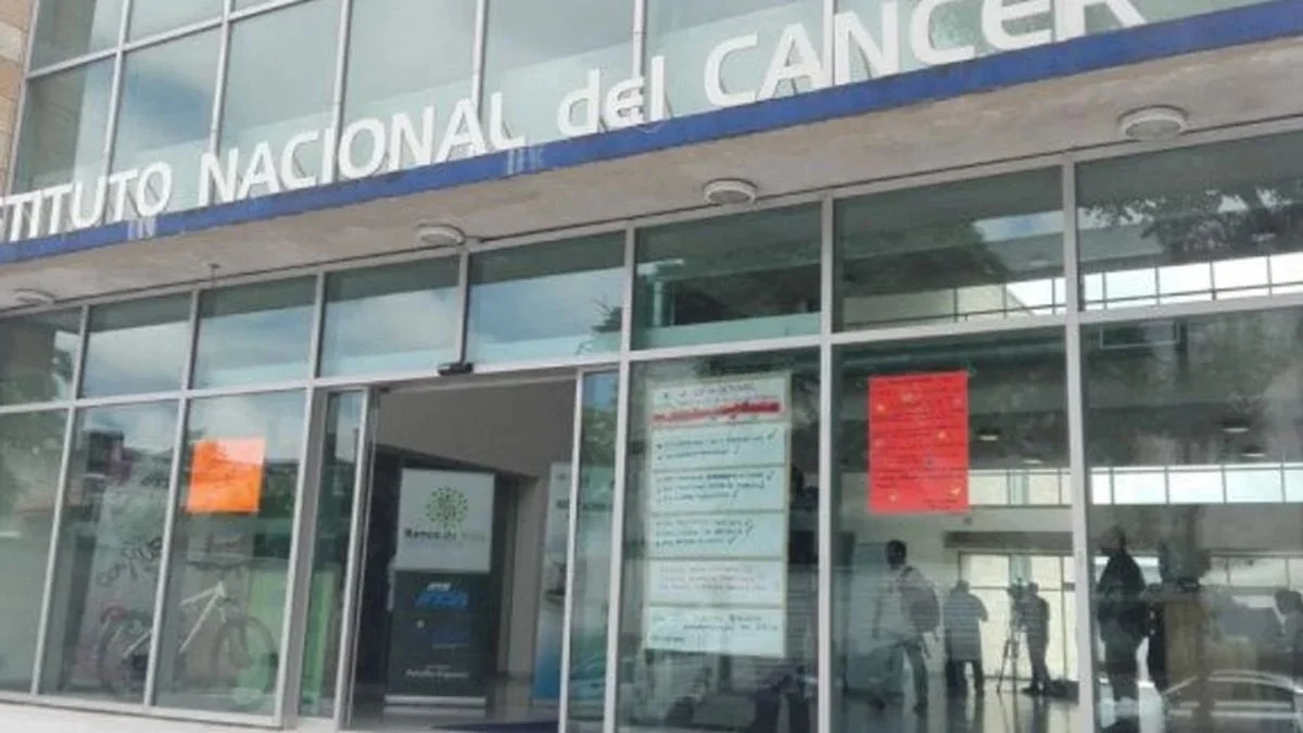 Javier Milei suspendió la compra de morfina y desmanteló el programa de cuidados paliativos para el cáncer