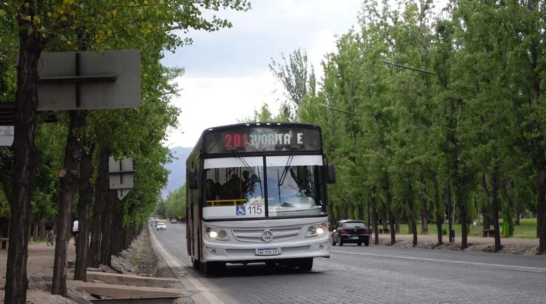 El colectivo bajaba por Libertador antes del accidente.
