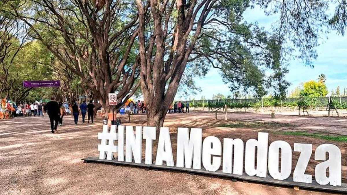 Desguace del INTA: los libertarios consiguieron 420 adhesiones al plan de retiros voluntarios y aspira a 1.200