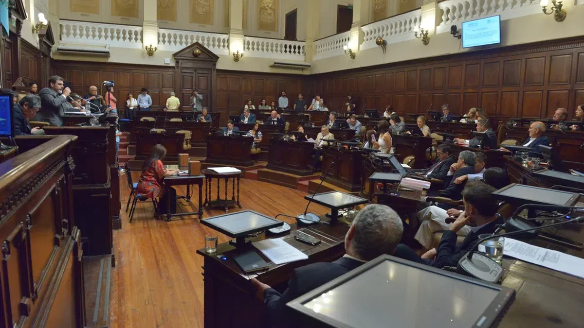 Las PASO, fuera de juego también en 2026: el Senado votó un cambio crucial en el cronograma electoral