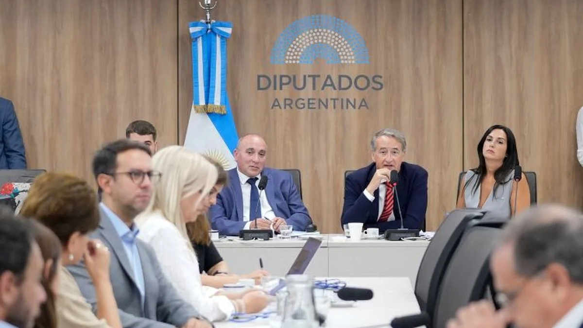 Audiencia por los glaciares: denuncian una "trampa" para limitar la participación y avanza un amparo colectivo