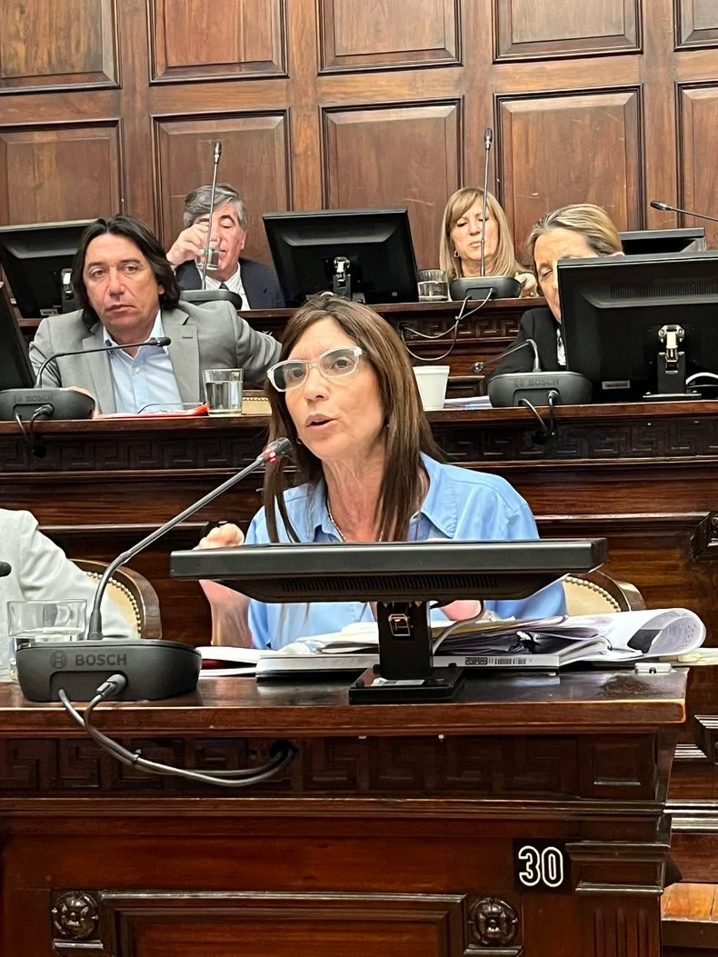 La senadora Natacha Eisenchlas (UCR).&nbsp;