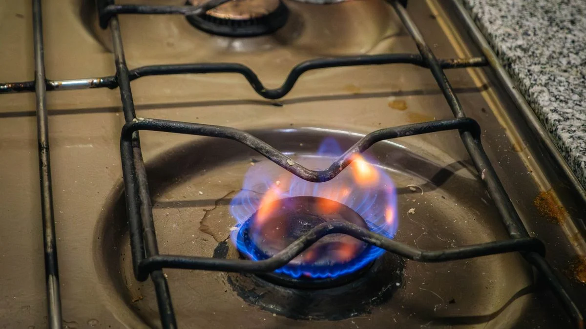 El Partido Verde cargó contra el Gobierno nacional por el posible recorte de subsidios al gas