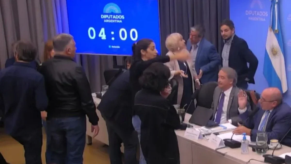 Audiencia por los glaciares: la pelea política por el modelo extractivista copó la audiencia pública