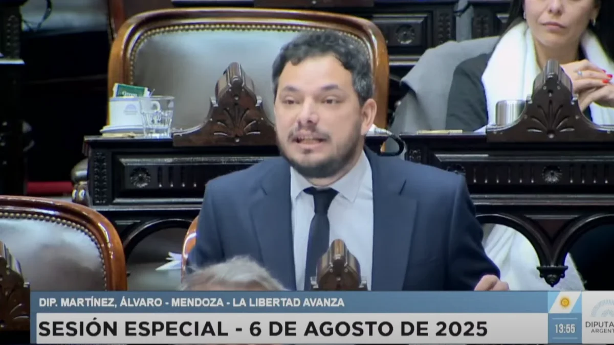 Libertarios contra la UNCuyo: el PJ salió a defenderla y recordó que la gobierna la UCR, aliada de Milei