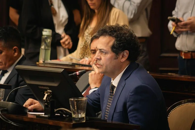 El senador Germ&aacute;n Vicchi (Pro), autor del proyecto de ley que prob&oacute; la C&aacute;mara de Diputados despu&eacute;s del aval en la C&aacute;mara Alta.&nbsp;