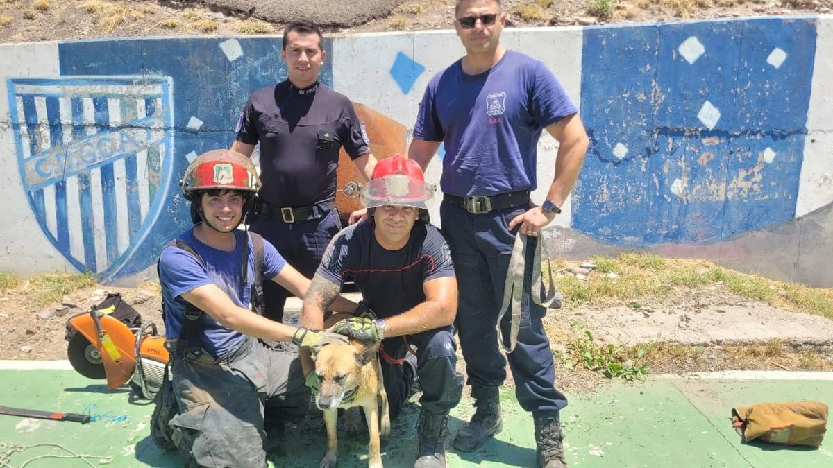 Bomberos rescataron a un perrito que había quedado atrapado en un pozo en Godoy Cruz