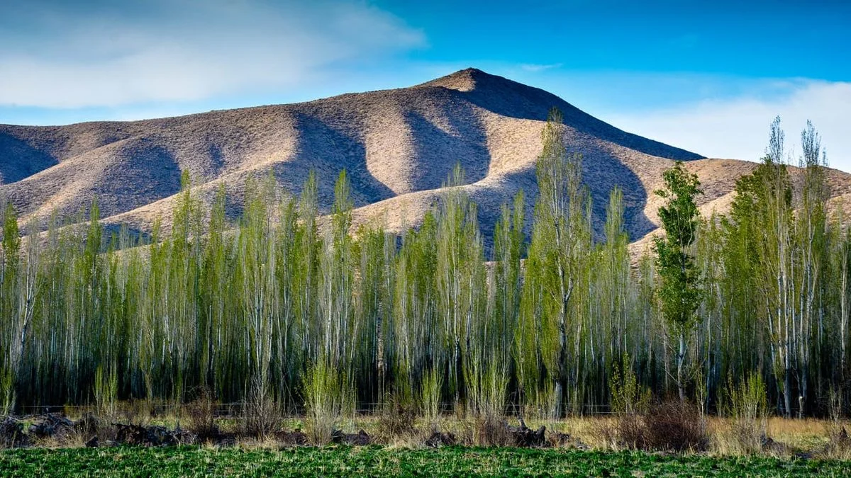 Semana Santa en la naturaleza de Uspallata: un recorrido por Alta Montaña