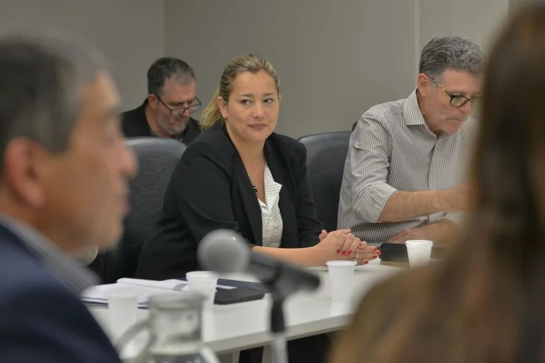 La senadora Adriana Cano (PJ) autora de un proyecto de ley para regular escuelas de verano. El Senado tambi&eacute;n avanza con otra etapa de la Ley Hojarasca.&nbsp;
