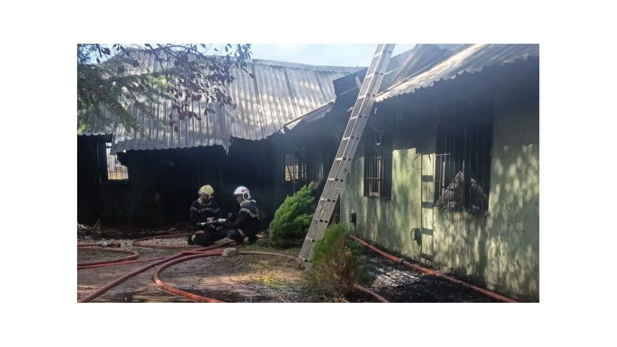 Fotos: un incendio se desató en un salón de fiestas en Luján de Cuyo