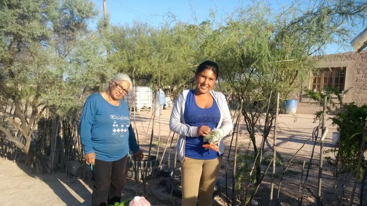 El derecho a alimentarse: una campaña de familias campesinas que interpela a Mendoza