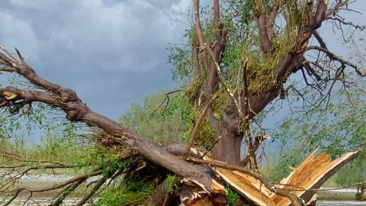 Tras la tormenta y el granizo, más de 20 casas afectadas