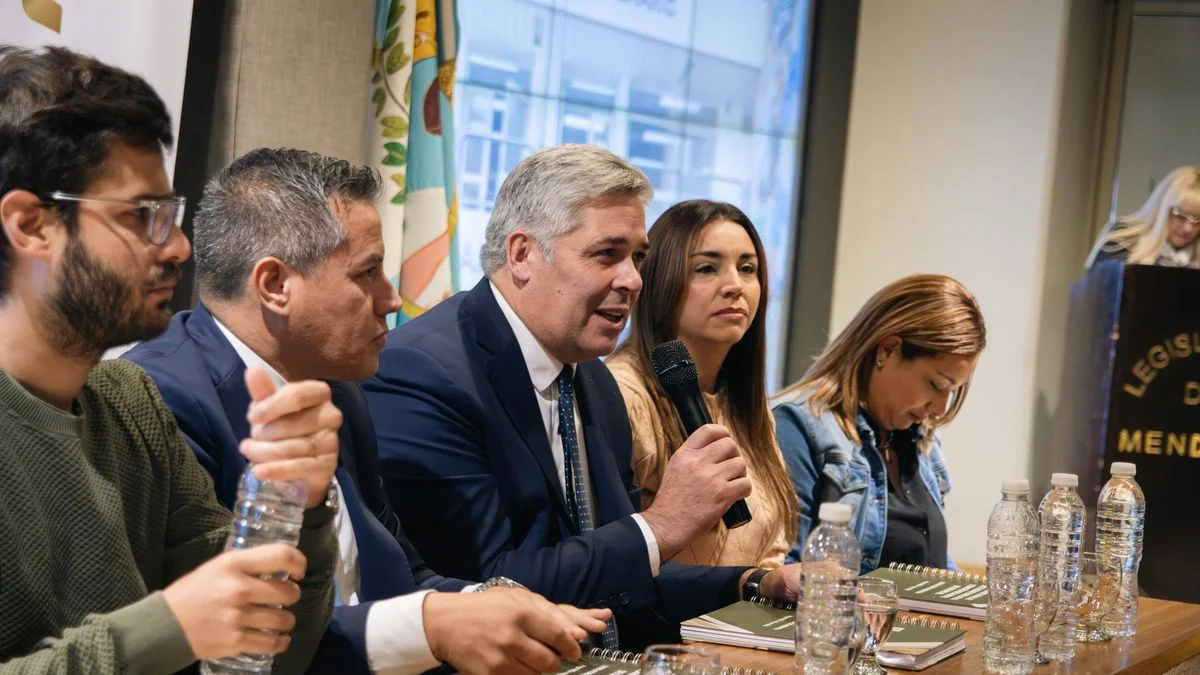 Una diputada del Pro pide por la Bicameral de Seguridad: por qué hace un año que no se reúne