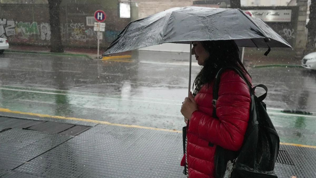 Los daños que dejó la fuerte tormenta en Mendoza: las zonas más afectadas