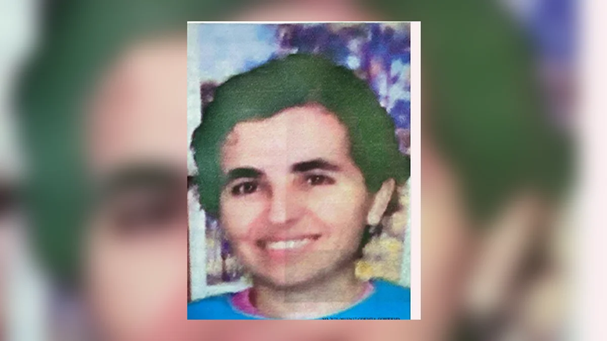 Paradero: qué se sabe de la mujer que desapareció en Buenos Aires y podría estar en Mendoza