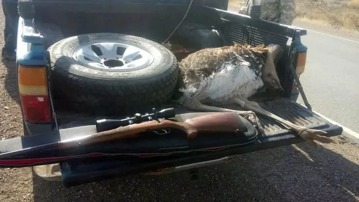 La Policía Rural detuvo en San Rafael a tres hombres que habían cazado animales protegidos