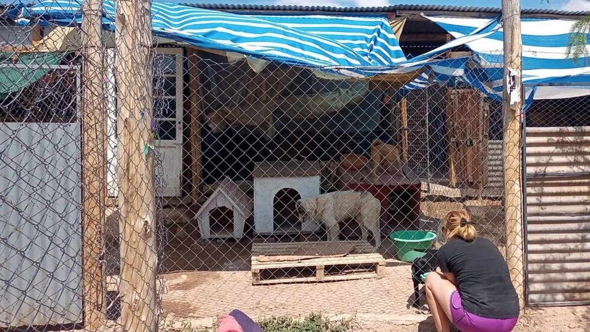 El refugio de perros más grande de Mendoza necesita ayuda para seguir funcionando