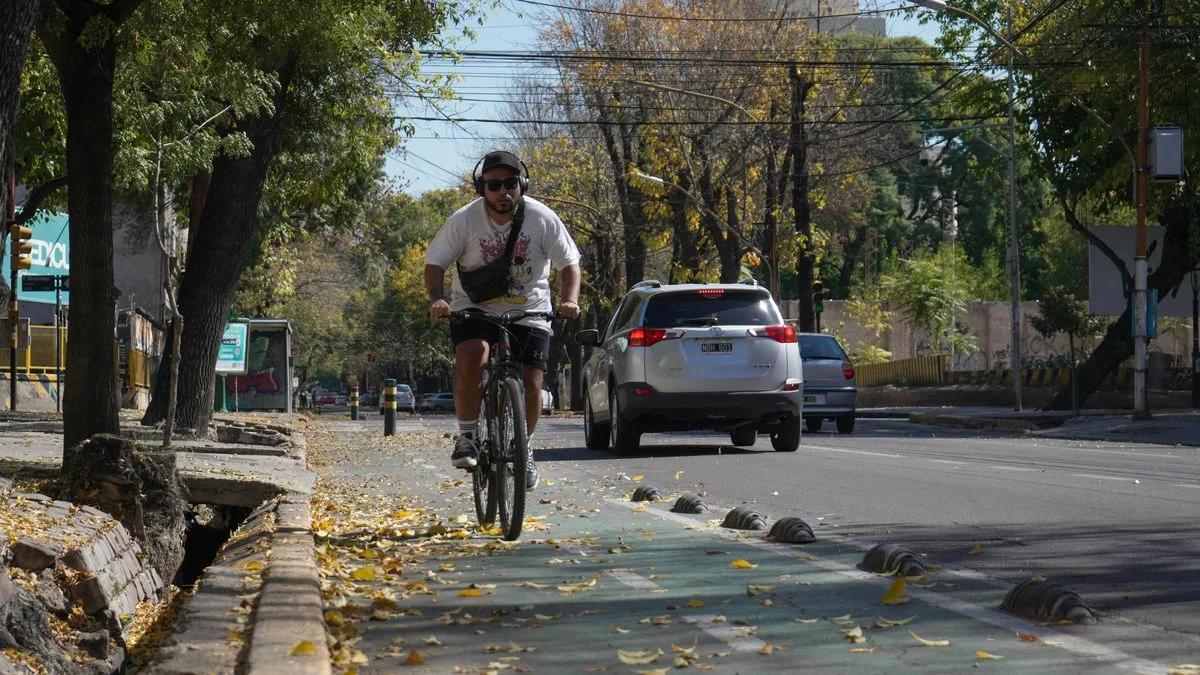 El tiempo en Mendoza: ascenso de la temperatura este domingo