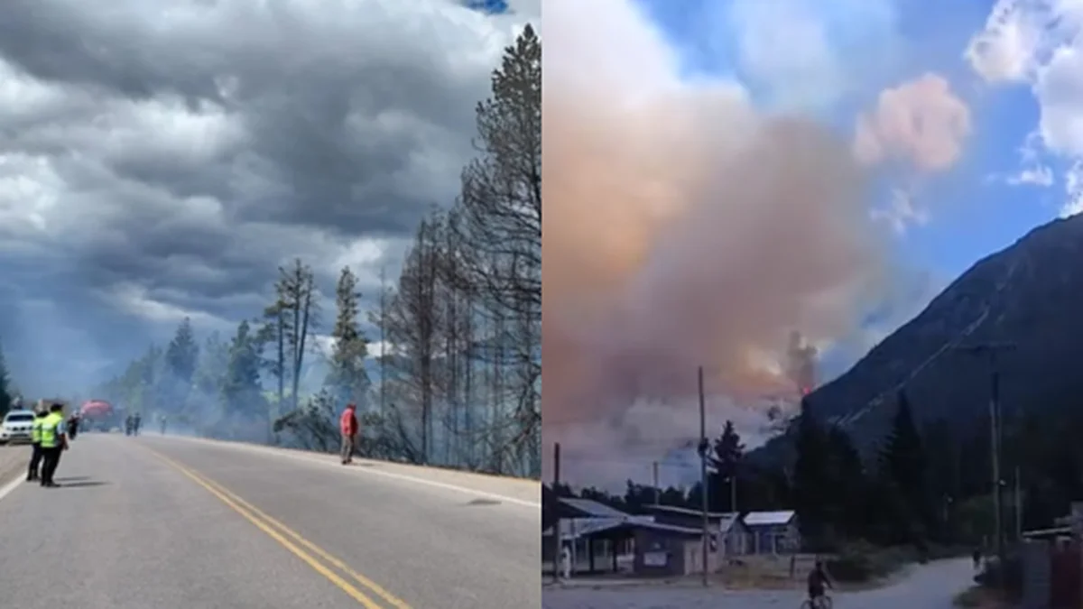 Incendios forestales simultáneos: están afectados El Bolsón y Epuyén