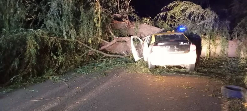 Las im&aacute;genes del taxi luego del accidente.&nbsp;