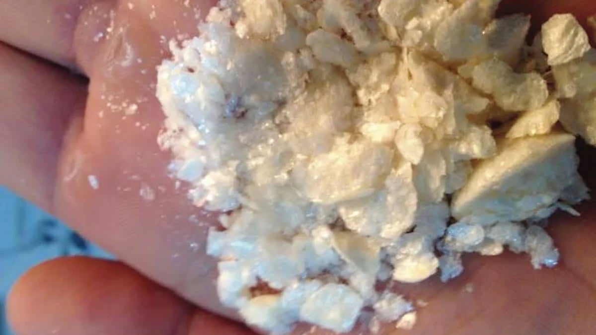 Cocaína adulterada: confirmaron que contenía un medicamento veterinario y avanza la investigación