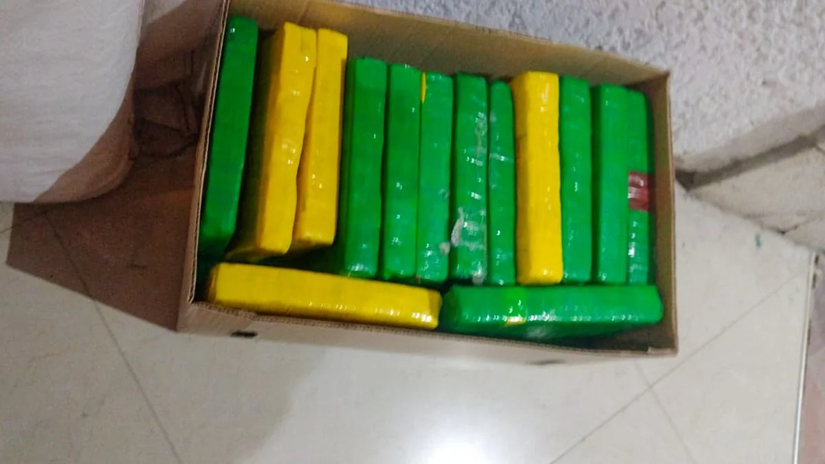 Una denuncia por violencia de género fue clave para el decomiso de 90 kilos de cocaína en Mendoza