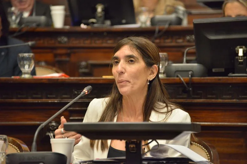 Natacha Eisenchlas, jefa de bloque radical en el Senado y una de las defensoras del proyecto. 