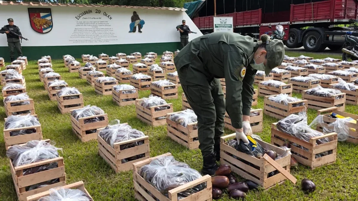 Cocaína escondida en berenjenas: trasladaban 31 kilos de droga distribuidos en paquetes dentro de cajones
