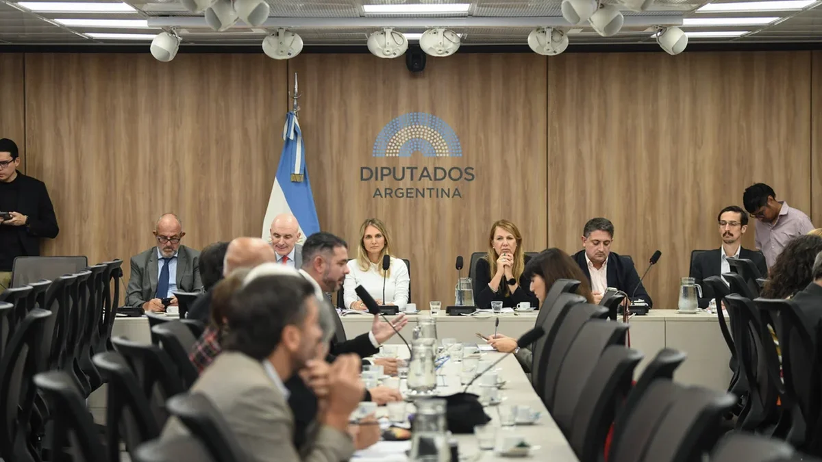 Presos desde los 14: libertarios y aliados lograron dictamen para cambiar el Régimen Penal Juvenil