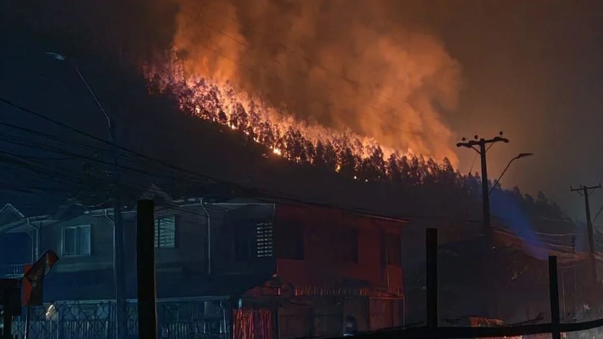 Incendios forestales en Chile: ya son 19 los fallecidos y hay miles de damnificados